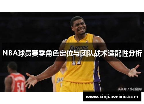 NBA球员赛季角色定位与团队战术适配性分析