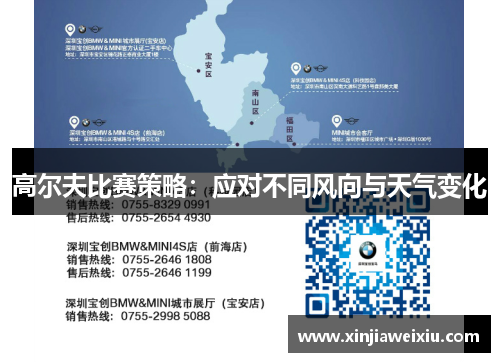 高尔夫比赛策略：应对不同风向与天气变化