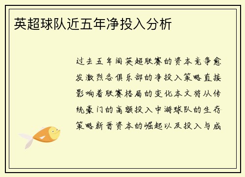 英超球队近五年净投入分析
